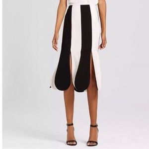Victoria Beckham x Target Skirt